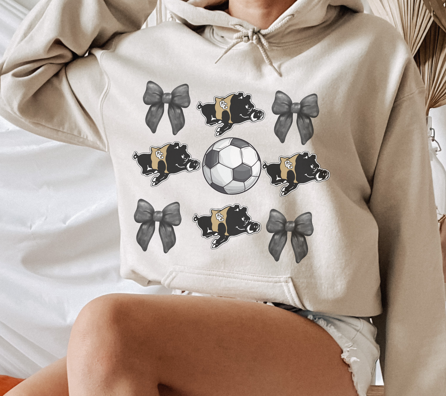 Adult Colquitt County Packers Soccer Season Bows Ball Hawg Hoodie